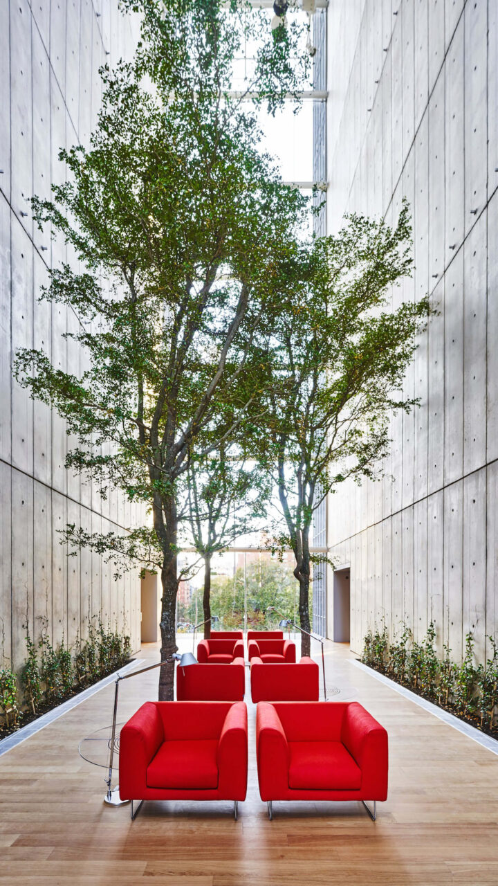 565 broome seating area with trees